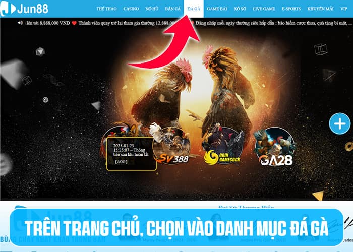 Các bước tham gia Đá Gà Jun88