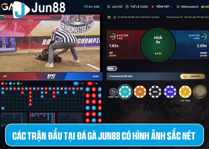 Đá Gà Jun88 cung cấp các trận đấu với hình ảnh sắc nét