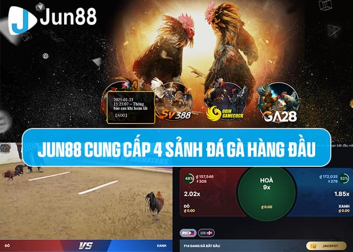 Đá Gà Jun88 - sự lựa chọn số 1 cho kê thủ