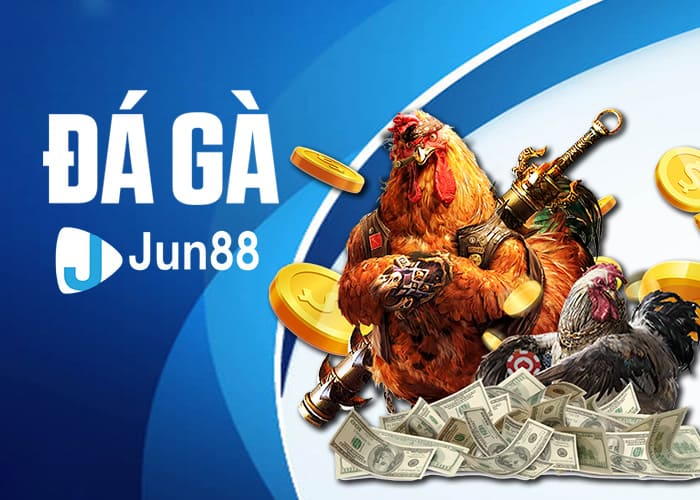 Giới thiệu về Đá Gà Jun88